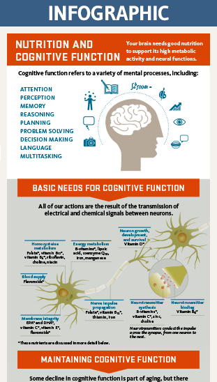 cognition infographic thumbnail