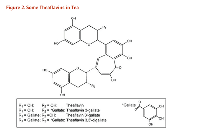 Figure 2. Chemical Structures of Some Theaflavins in Tea: theaflavin, theaflavin 3-gallate, theaflavin 3'-gallate, theaflavin 3,3'-digallate.