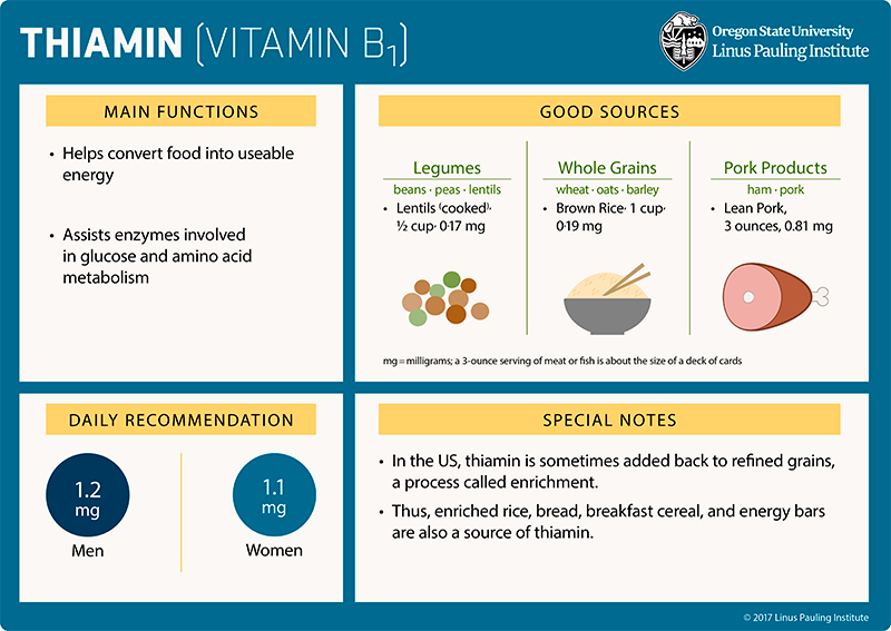 Thiamin Flashcard. Main Functions: (1) helps covert food into usebale energy, and (2) assists enzymes involved in glucose and amino acid metabolism. Good Sources: Legumes (beans, peas, lentils), lentils (cooked), one-half cup=0.01 mg; Whole Grains (wheat, oats, barley), brown rice, 1 cup=0.19 mg; pork products (ham, pork), lean pork, 3 ounces=0.81 mg. Daily Recommendation. 1.2 mg/day for men and 1.1 mg/day for women. Special Notes. (1) In the US, thiamin is sometimes added back to refined grains, a process called fortification. (2) Thus, enriched rice, bread, breakfast cereal, and energy bars are also a source of thiamin.