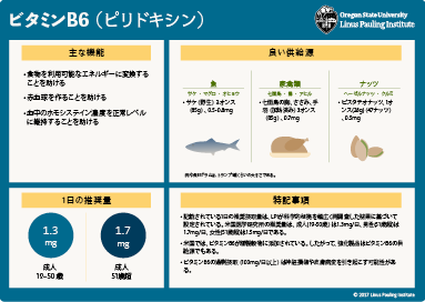 Japanese vitamin B6 flashcard thumbnail