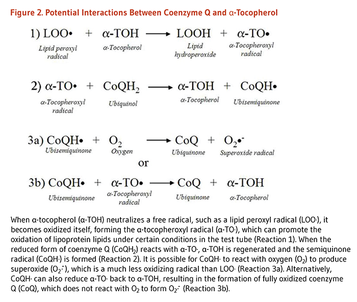 Coenzyme Q10 Figure 2. Potential Interactions Between Coenzyme Q and Alpha-  Tocopherol