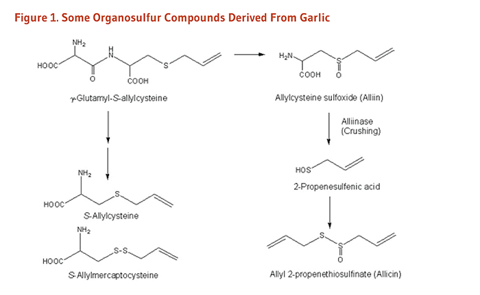 Garlic Figure 1. Some Organosulfur Compounds Derived From Garlic