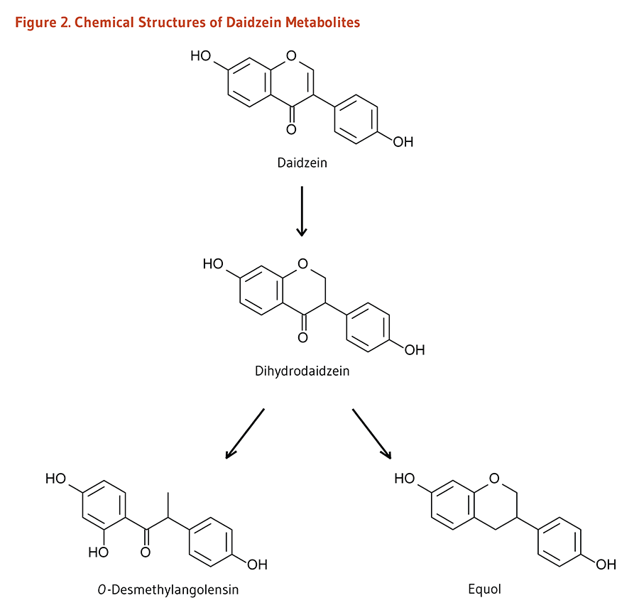 Figure 2. Chemical Structures of Daidzein Metabolites