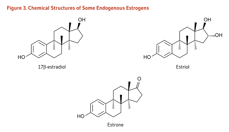 Figure 3. Chemical Structures of Some Endogenous Estrogens