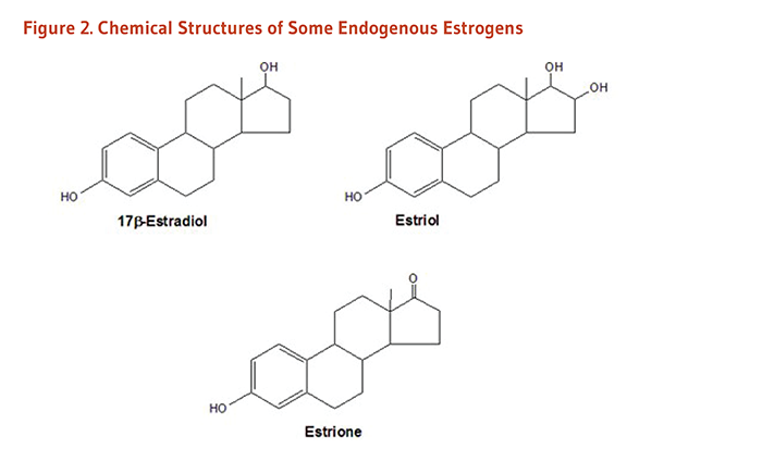 Soy Isoflavones Figure 2. Chemical Structures of Some Endogenous Estrogens