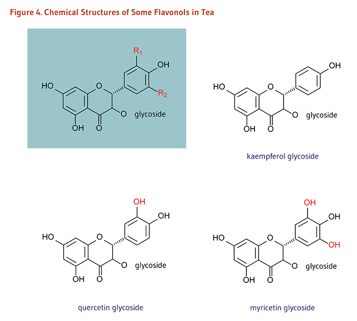Figure 4. Chemical Structures of Some Flavonols in Tea: kaempferol glycoside, quercetin glycoside, and myricetin glycoside.