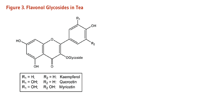 Figure 3. Chemical Structures of Flavonol Glycosides in Tea: kaempferol, quercetin, and myricetin.