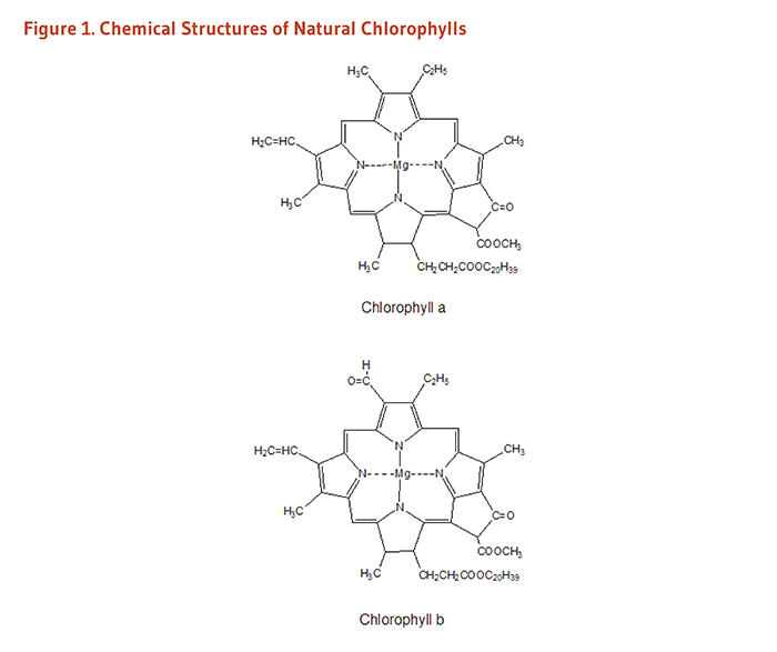 Figure 1. Chemical structures of natural chlorophylls: chlorophyll a and chlorophyll b.