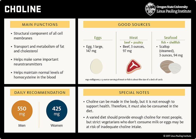 Choline flashcard. Main functions: 1) structural component of all cell membranes, 2) transport and metabolism of fat and cholesterol, 3) helps make some important neurotransmitters, and 4) helps maintain normal levels of homocysteine in the blood. Good sources: egg (1 large), 147 mg; meat (beef and poultry), beef (3 ounces), 97 mg; seafood (fish and shellfish), scallop (steamed, 3 ounces) 94 mg (mg=milligrams; a three-ounce serving of meat or fish is about the size of a deck of cards; Daily Recommnedation: 550 mg for all men and 425 mg for all women; Special Notes: 1) Choline can be made in the body, but it is not enough to support health. Therefore, it must also be consumed in the diet. 2) A varied diet should provide enough choline for most people, but strict vegetarians who don't consume milk or eggs may be at risk of inadequate choline intake.