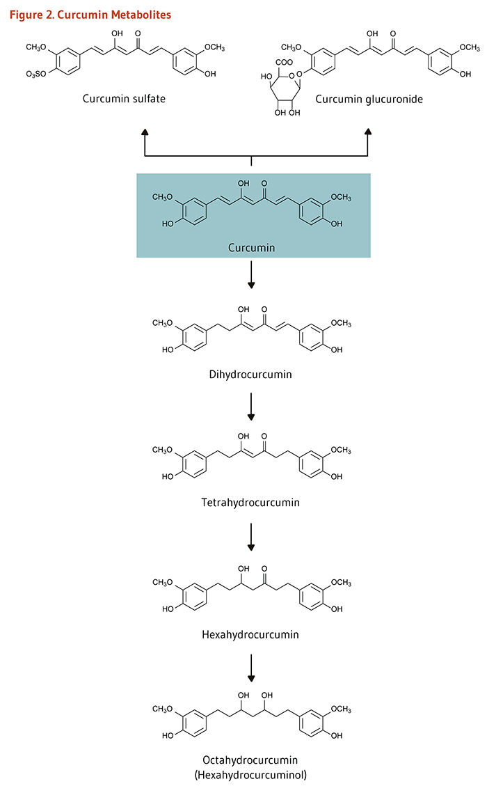 Figure 2. Curcumin Metabolites. Chemical structures of the curcumin metabolites: curcumin sulfate, curcumin glucuronide, dihydrocurcumin, tetrahydrocurcumin, hexahydrocurcumin, and octahydrocurcumin (hexahydrocurcuminol).