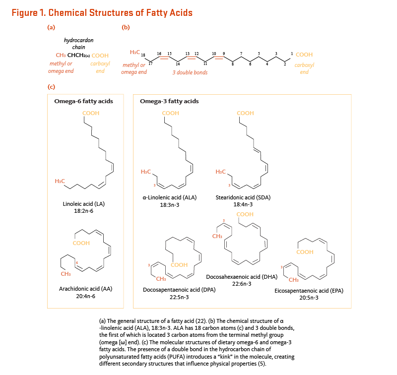 Figure 1. Chemical Structures of Fatty Acids. (a) The general structure of a fatty acids. (b) The chemical structure of alpha-linolenic acid (ALA), 18:3n-3. ALA has 18 carbon atoms and three double bonds, the first of which is located three carbon atoms from the terminal methyl group (omega end). (c) The molecular structures of dietary omega-6 and omega-3 fatty acids. The presence of a double bond in the hydrocarbon chain of polyunsaturated fatty acids introduces a kink in the molecule, creating different secondary structures that influence physical properties.