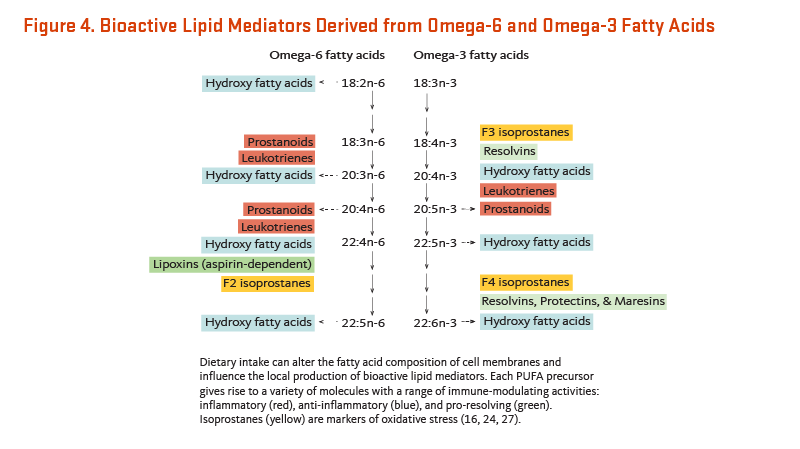 Figure 4. Bioactive Lipid Mediators Derived from Omega-6 and Omega-3 Fatty Acids. Dietary intake can alter the fatty acid composition of cell membranes and influence the local production of bioactive lipid mediators. Each PUFA precursor gives rise to a variety of molecules with a range of immune-modulating activities: inflammatory, anti-inlammatory, and pro-resolving. Isoprostanes are markers of oxidative stress.