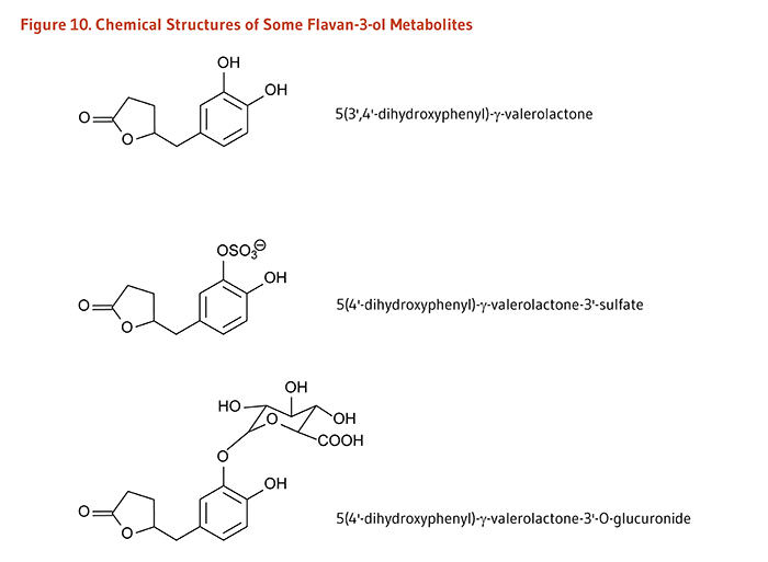 Figure 10. Chemical Structures of Some Flavan-3-ol Metabolites
