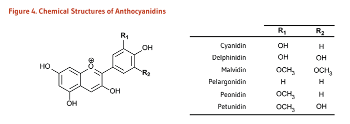 Figure 4. Chemical Structures of Anthocyanidins