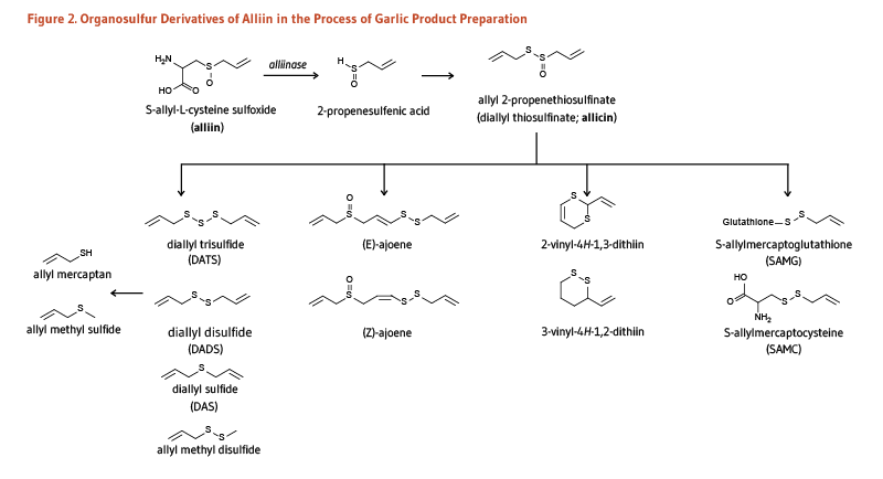 Figure 2. Organosulfur Derivatives of Alliin in teh Process of Garlic Product Preparation