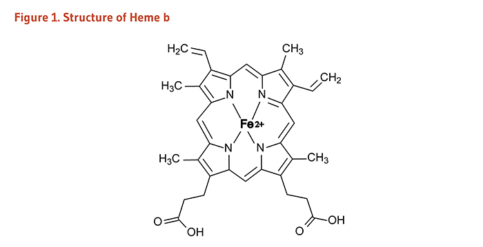Figure 1. Structure of Heme b.