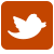 Twitter icon