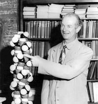 Alpha Helix in 1958