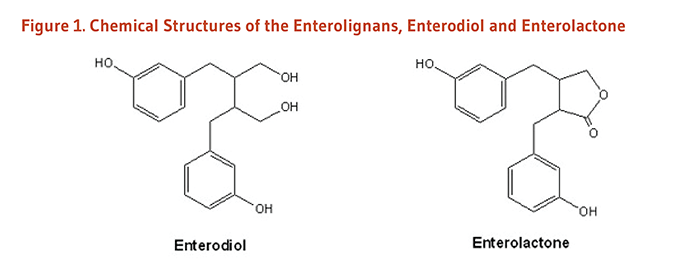Figure 1. Chemical Structures of the Enterolignans, Enterodiol and Enterolactone.