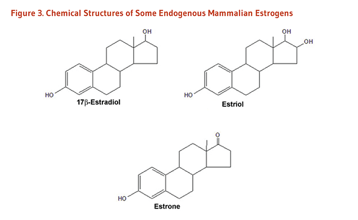 Figure 3. Chemical Structures of Some Endogenous Mammalian Estrogens: 17 beta-estradiol, estriol, and estrone.