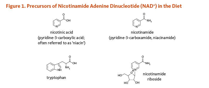 Figure 1. Precursors of Nicotinamide Adenine Dinucleotide (NAD+) in the Diet. Chemical structures of nicotinic acid (pyridine-3-carboxylic acid; often referred to as 'niacin'); nicotinamide (pyridine-3-carboxamide, niacinamide); tryptophan; and nicotinamide riboside.