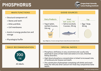 phosphorus flashcard thumbnail