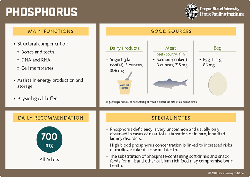 Phosphorus Flashcard. Main Functions: (1) Structural component of bones and teeth, DNA and RNA, and cell membranes; (2) Assists in energy production and storage; and (3) Physiological buffer. Good Sources: dairy products (yogurt, plan, nonfat, 8 ounces, 306 milligrams [mg]); meat (beef, poultry, fish), cooked salmon, 3 ounces, 315 mg; egg, 1 large, 86 mg. Daily Recommendation, 700 mg for all adults. Special Notes: (1) Phosphorus deficiency is very uncommon and usually only observed in cases of near-total starvation or in rare, inherited kidney disorders. (2) High blood phosphorus concentration is linked to increased risks of cardiovascular disease and death. (3) The subsitution of phosphate-containing soft drinks and snack foods for milk and other calcium-rich food may compromise bone health. 