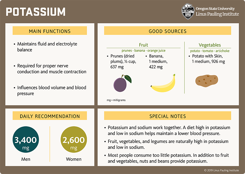 Potassium Flashcard. Main Functions: (1) maintains fluid and electrolyte balance, (2) Required for proper nerve conduction and muscle contraction, and (3) Influences blood volumen and blood pressure. Good Sources: Fruit (prunes, banana, orange juice); prunes (dried plums), one-half cup, 637 mg; banana, 1 medium, 422 mg; Vegetables (potato, tomato, artichoke), potato with skin, 1 medium, 926 mg. Daily Recommendation. 4,700 mg for adults. Special Notes: (1) Potassium and sodium work together. A diet high in potassium and low in sodium helps maintain a lower blood pressure. (2) Fruit, vegetables, and legumes are naturally high in potassium and low in sodium. (3) Most people consume too little potassium. In addition to fruit and vegetables, nuts and beans also provide potassium.