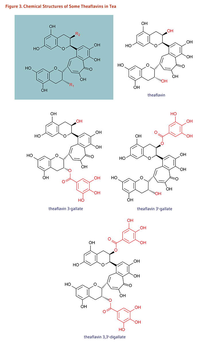 Figure 3. Chemical Structures of Some Theaflavins in Tea: theaflavin, theaflavin 3-gallate, theaflavin 3'-gallate, theaflavin 3,3'-digallate