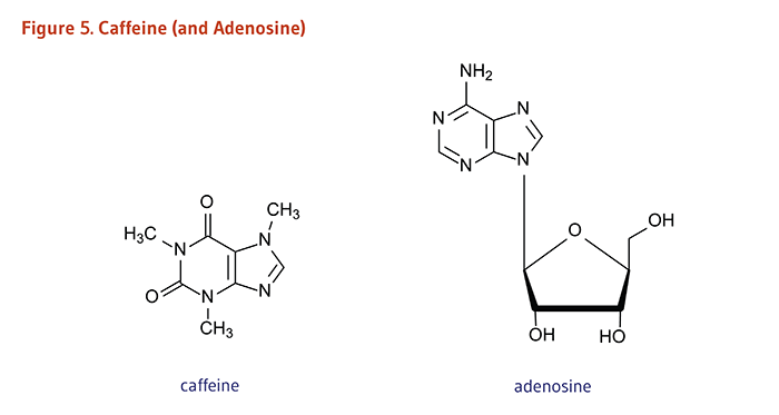 Figure 5. Chemical Structures of Caffeine and Adenosine