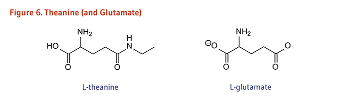 Figure 6. Chemical Structures of Theanine and Glutamate