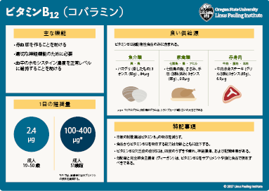 Japanese vitamin B12 flashcard thumbnail