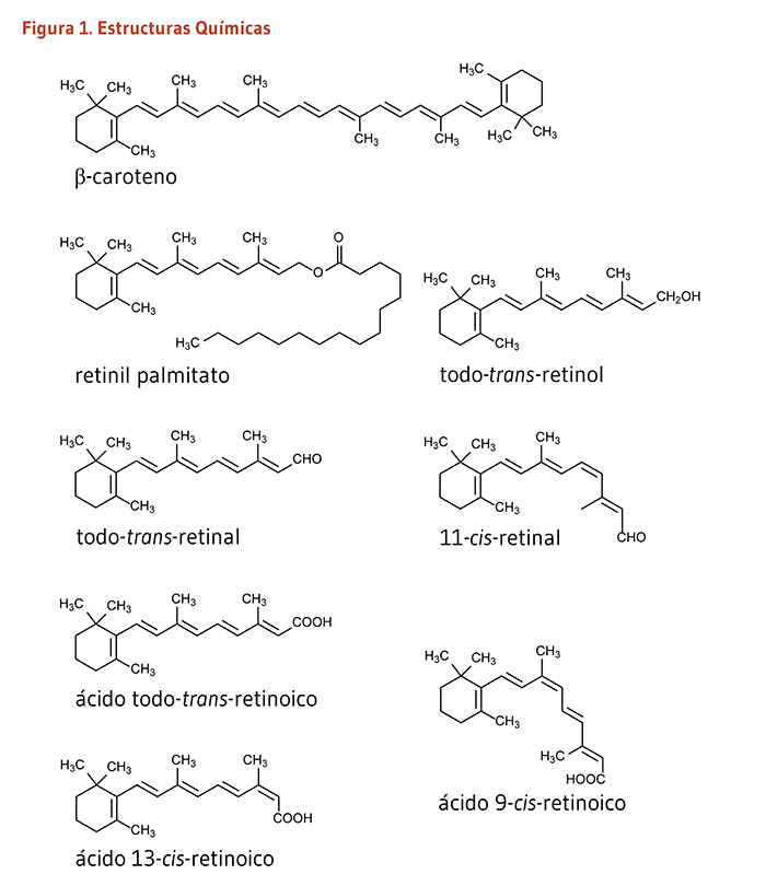 Figura 1. Estructuras Químicas de β-caroteno, retinil palmitato, todo-trans-retinol, todo-trans-retinal, 11-cis-retinal, ácido todo-trans-retinoico, y ácido 9-cis-retinoico.