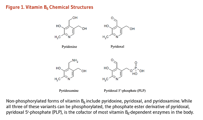 Figure 1. Chemical Structures of pyridoxine, pyridoxal, pyridoxamine, and pyridoxal 5'-phosphate (PLP). Non-phosphorylated forms of vitamin B6 include pyridoxine, pyridoxal, and pyridoxamine. While all three of these variants can be phosphorylated, the phosphate ester derivative of pyridoxal, pyridoxal 5'-phosphate (PLP), is the cofactor of most vitamin B6-dependent enzymes in the body.