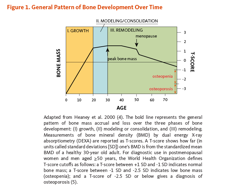 Figure 1. General Pattern of Bone Development Over Time. The figure shows the general pattern of bone mass accrual and loss over the three phases of bone development: (I) growth (sharp/rapid increase of bone mass until age 20), (II) modeling or consolidation (slow increase of bone mass until peak bone mass is reached around age 30), and (III) remodeling (the period of maintenance and/or decline of bone mass (about age 30 until death). A sharp/rapid decline of bone mass is seen in women as a result of menopause. The T-score, which measures bone mineral density (BMD) by DEXA, is used as a clinical proxy for bone mass. As defined by the World Health Organization (WHO), osteopenia precedes osteoporosis and occurs when one’s bone mineral density (BMD) is between 1 and 2.5 standard deviations (SD) below that of the average young adult (30 years of age).