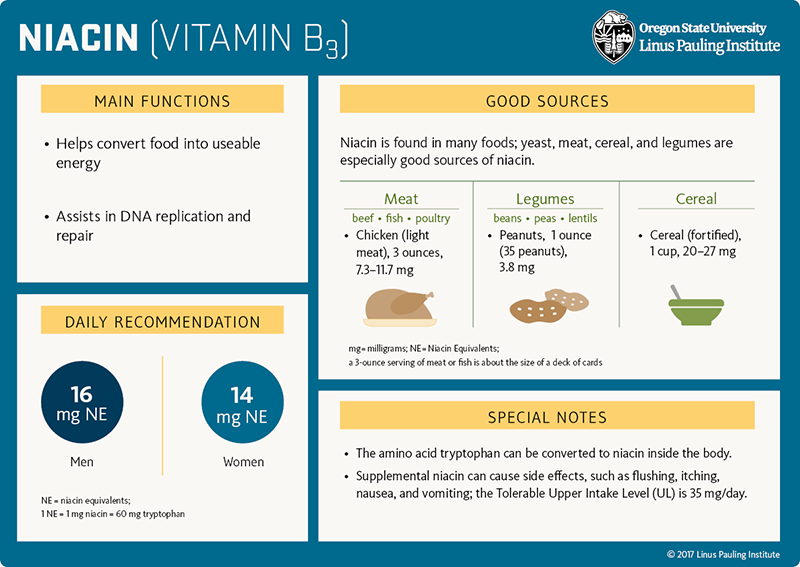 Niacin (vitamin B3) Flashcard. Main Functions: (1) helps convert food into useable energy, and (2) assists in DNA replication and repair. Good Sources. Niacin is found in many foods; yeast, meat, cereal, and legumes are especially good sources of niacin. Meat (beef, fish, poultry), chicken (light-meat), 3 ounces, 7.3-11.7 mg. Legumes (beans, peas, lentils), peanuts, 1 ounce (35 peanuts), 3.8 mg; Cereal (fortified), 1 cup, 20-27 mg. Daily Recommendation. 16 mg NE for men, 14 mg NE for women, NE=niacin equivalents, 1 NE=1 mg niacin=60 mg tryptophan. Special Notes. (1) The amino acid tryptophan can be converted to niacin inside the body. (2) Supplemental niacin can cause side effects, such as flushing, itching, nausea, and vomiting; the Tolerable Upper Intake Level (UL) is 35 mg/day.