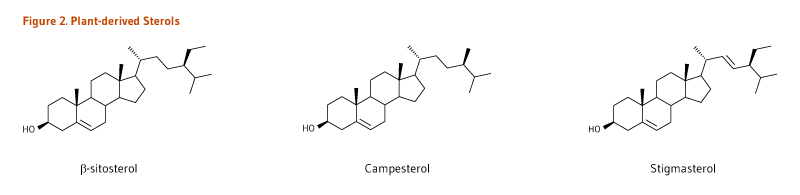 Figure 2. Chemical Structures of Plant-derived Sterols, beta-sitosterol, campesterol, and stigmasterol.