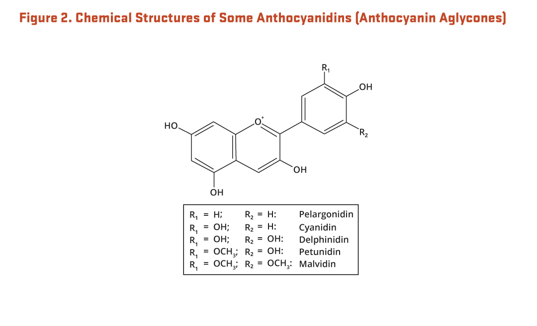See the 'Figure 2. Chemical structures of some anthocyanidins (anthocyanin aglycones)' long description under the 'Figure Alternative Text' section on this page.