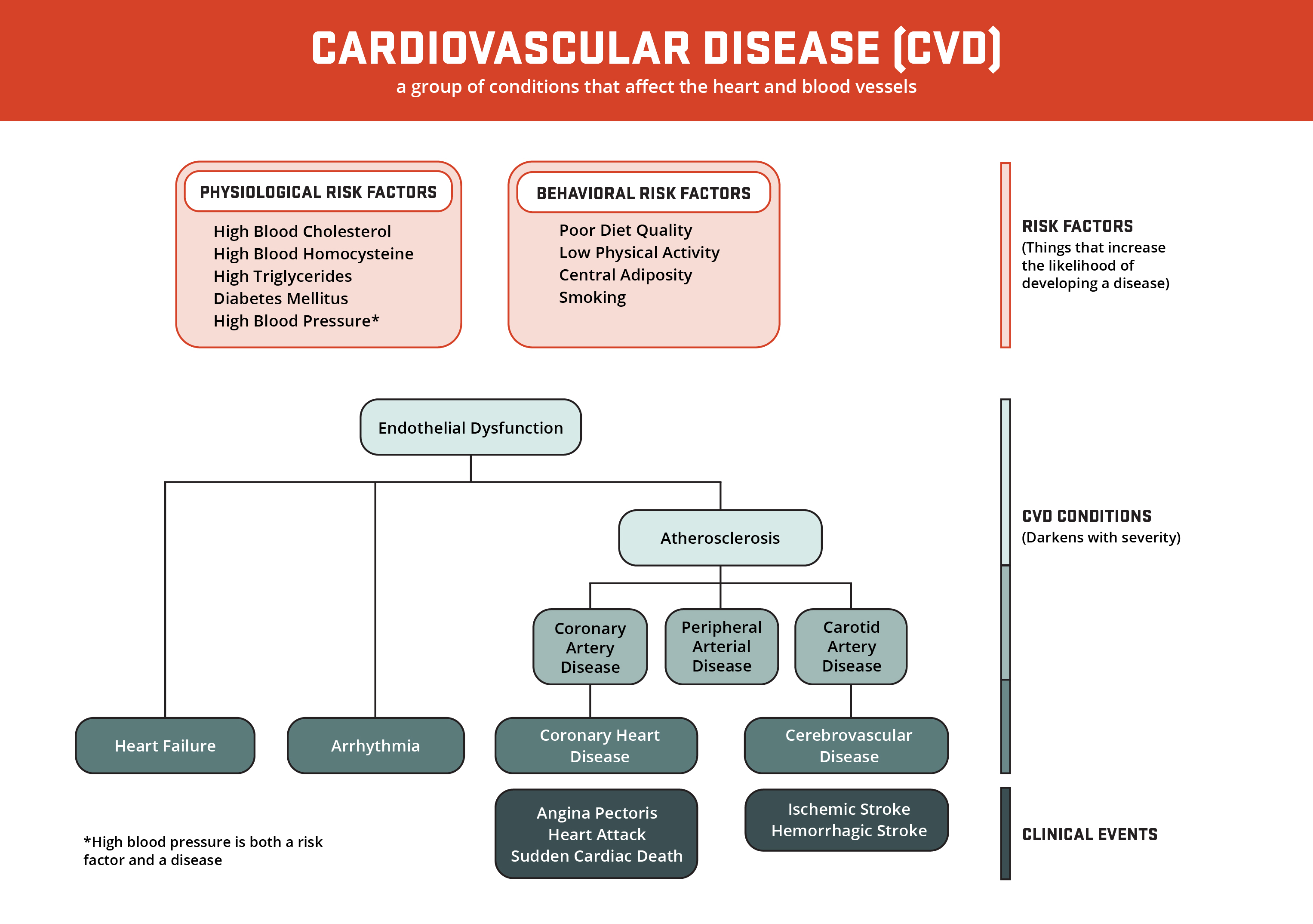 See the 'Figure. Overview of cardiovascular disease' long description under the 'Figure Alternative Text' section on this page.