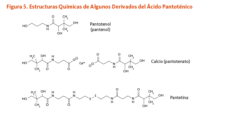 Figura 5. Estructuras Químicas de Algunos Derivados del Ácido Pantoténico 