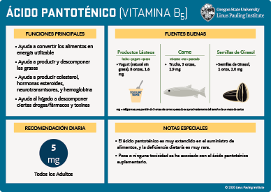 acido pantotenico flashcard thumbnail
