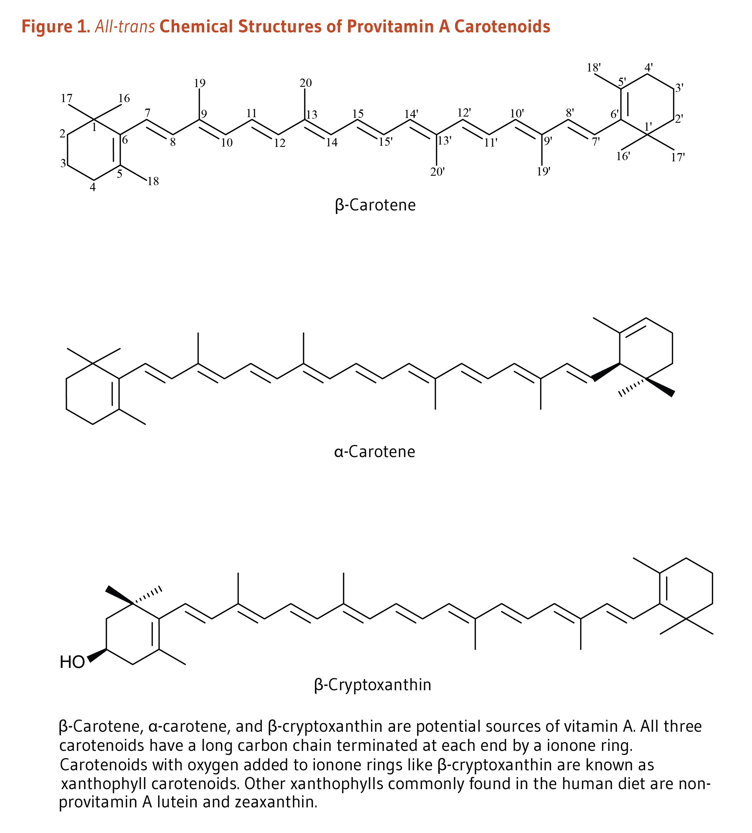 Carotenoids Figure 1. All-trans Chemical Structures of Provitamin A Carotenoids. Beta-carotene, alpha-carotene, and beta-cryptoxanthin are potential sources of vitamin A. All three carotenoids have a long carbon chain terminated at each end by a ionone ring. Carotenoids with oxygen added to ionone rings like beta-cryptoxanthin are known as xanthophyll carotenoids. Other xanthophylls commonly in the human diet are non-provitamin A lutein and zeaxanthin.