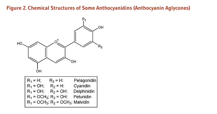 Flavanoid Figure 2. Chemical Structures of Some Anthocyanidins