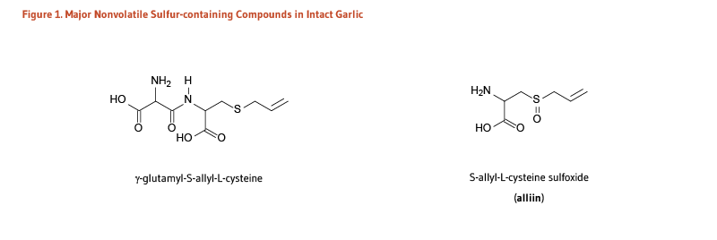 Figure 1. Major Novolatile Sulfur-containing Compounds in Intact Garlic
