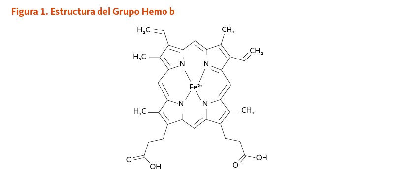 Figura 1. Estructura del Grupo Hemo b.