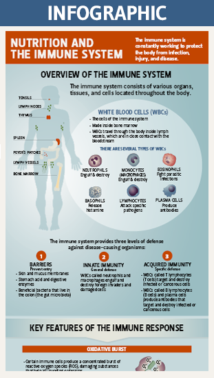immunity infographic thumbnail