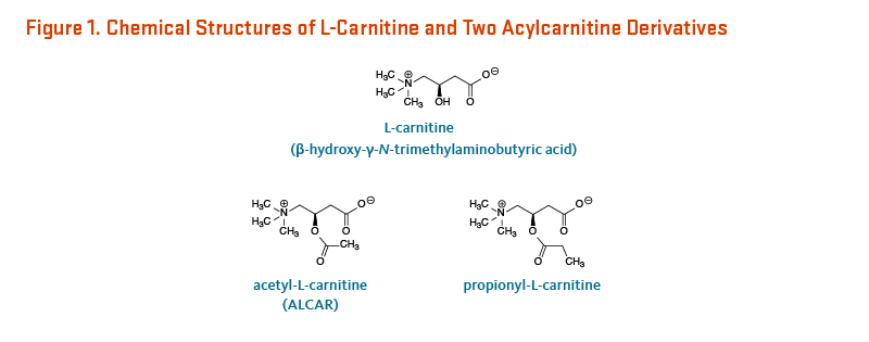 Figure 1. Chemical Structures of L-Carnitine (beta-hydroxy-gamma-N-trimethylaminobutyric acid) and Two Acylcarnitine Derivatives, acetyl-L-carnitine (ALCAR) and propionyl-L-carnitine.