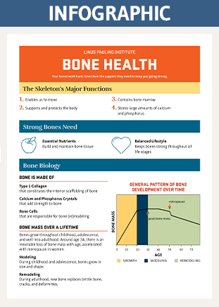 bone health infographic thumbnail