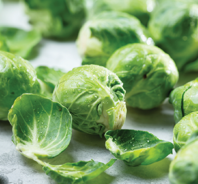 Fresh Brussels sprouts on a light background