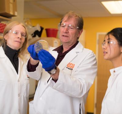 Dr. Gombart in his laboratory